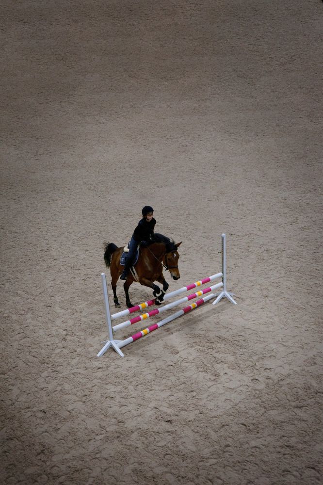 Show jumping