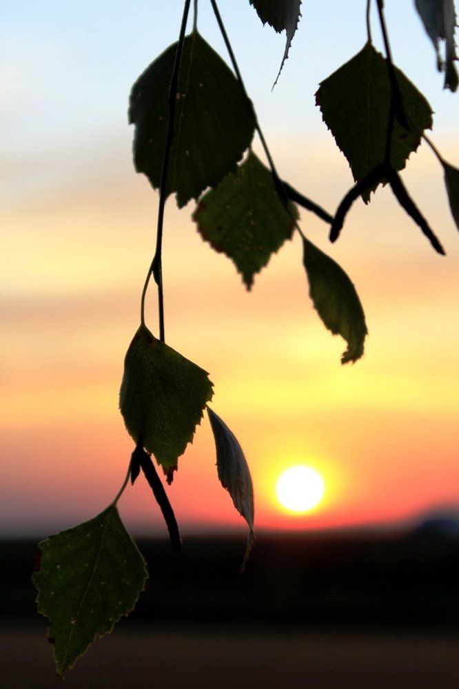 Photograph by Дмитрий