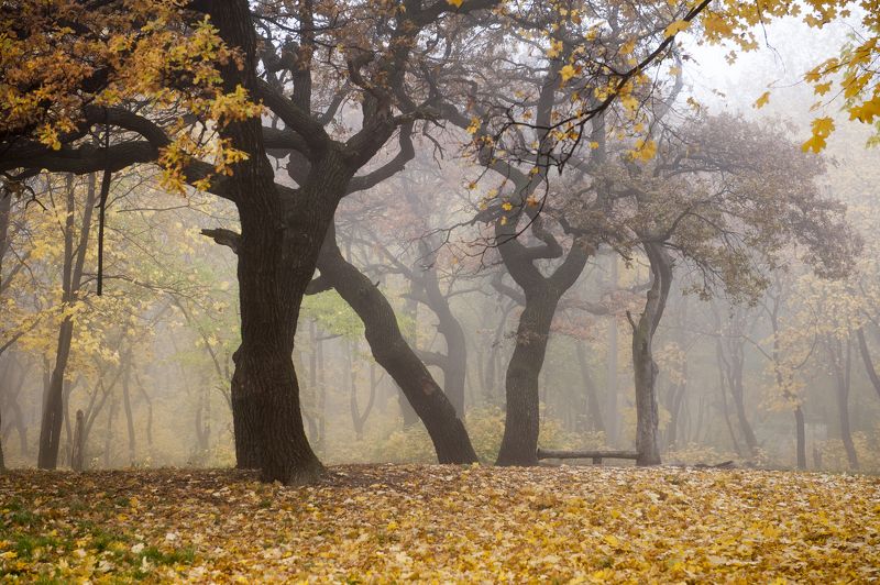 Viktor Boyko, Russia