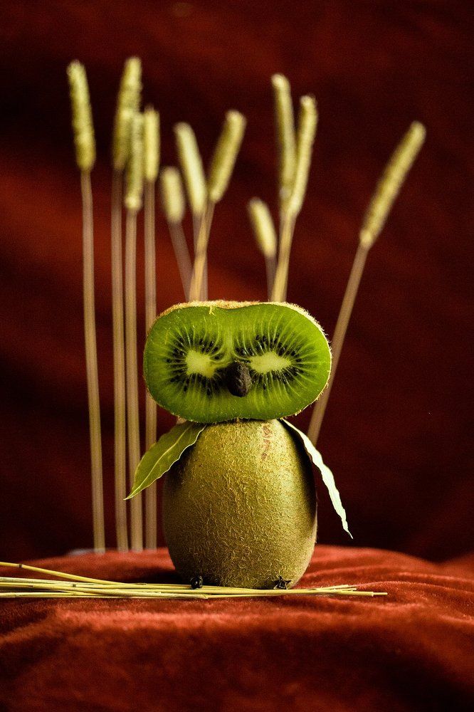 Кивовая совка.