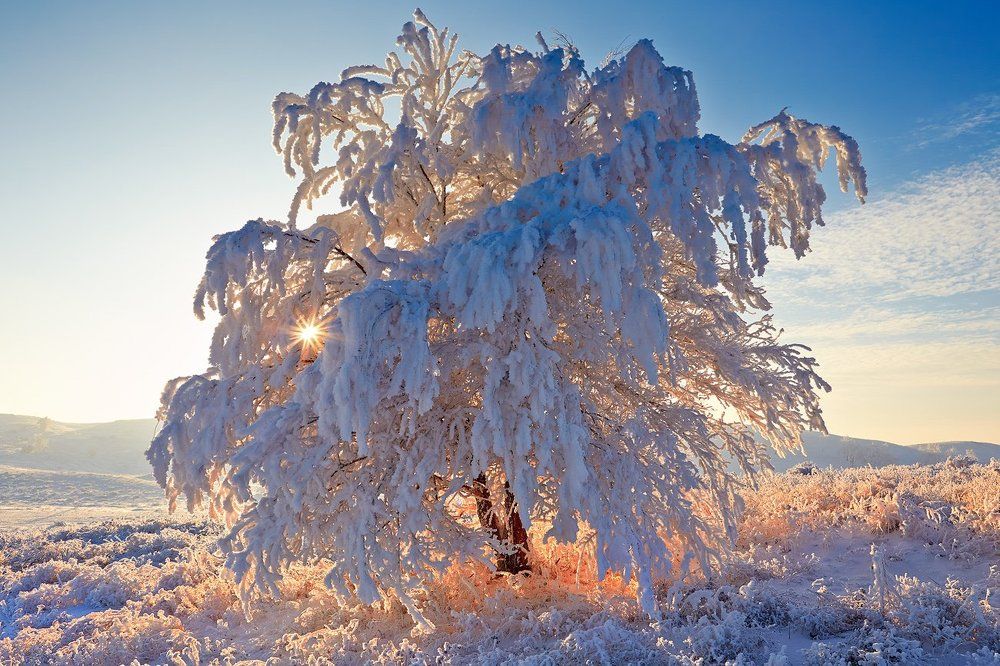 Photograph by Качурин Алексей