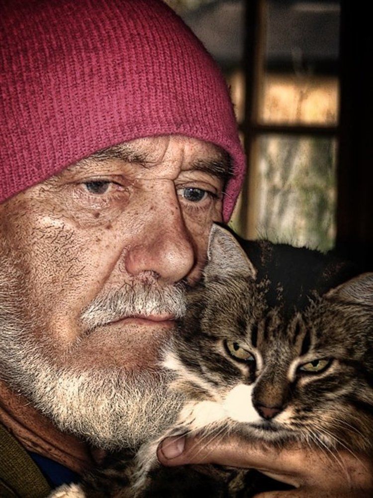 Старик и его Кошка
