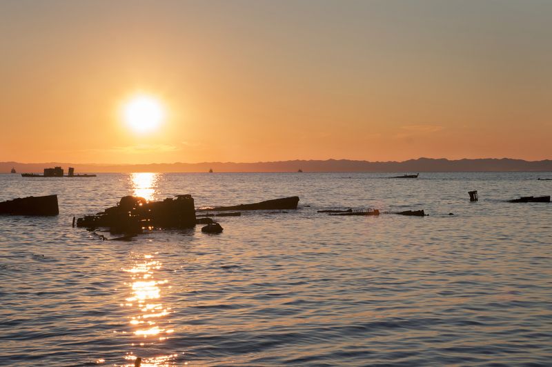 Алисия, Russia