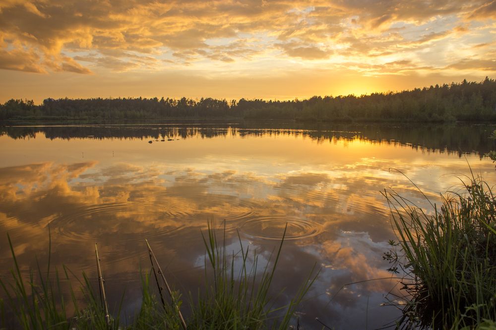 Краски лета