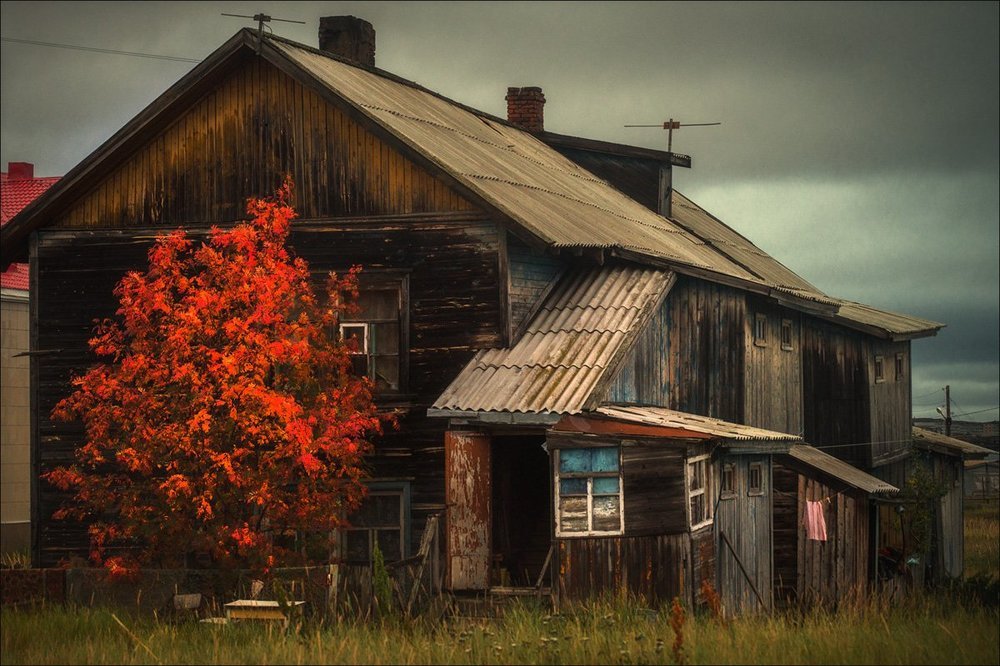 Контрасты осени.