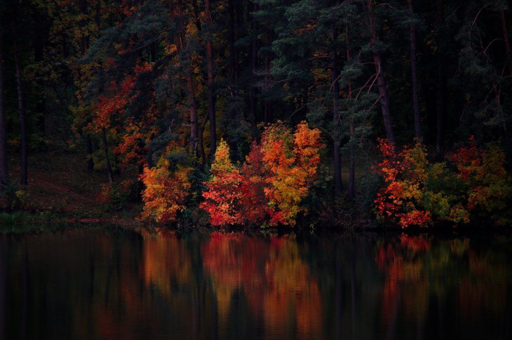 Photograph by Рома