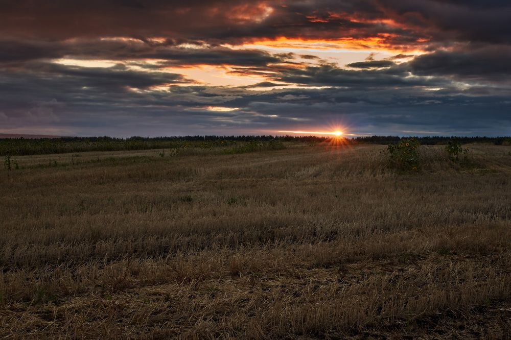 Закат на жниве..