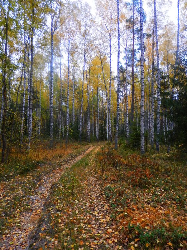 Марина, Belarus