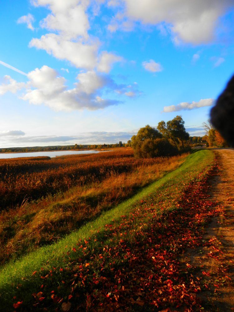 По дороге с облаками