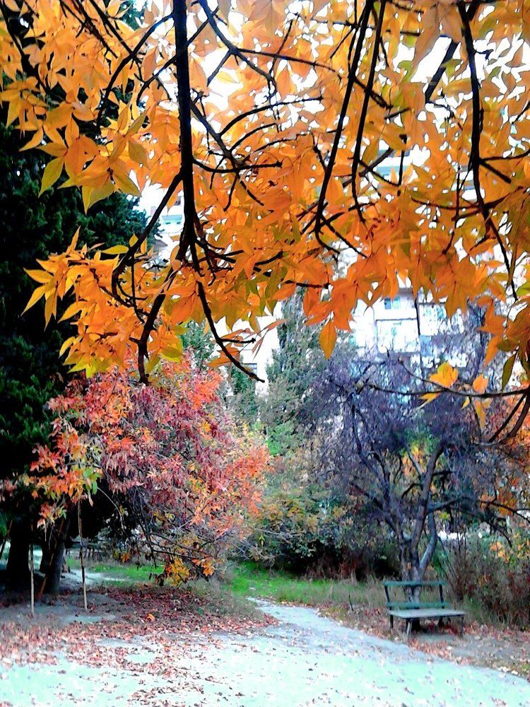 Осенняя палитра