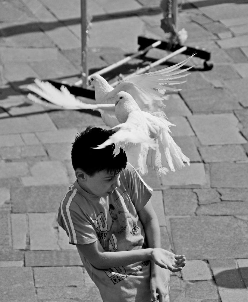 Промахнулисть