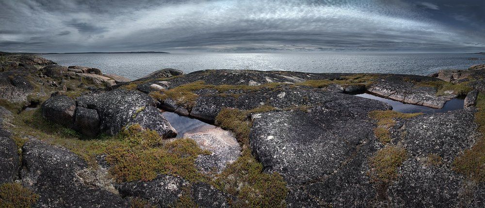 "Северная чернь"