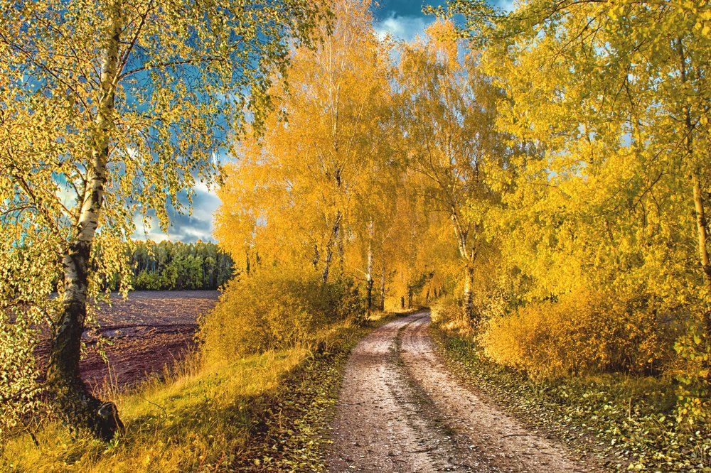 путешествие в осень