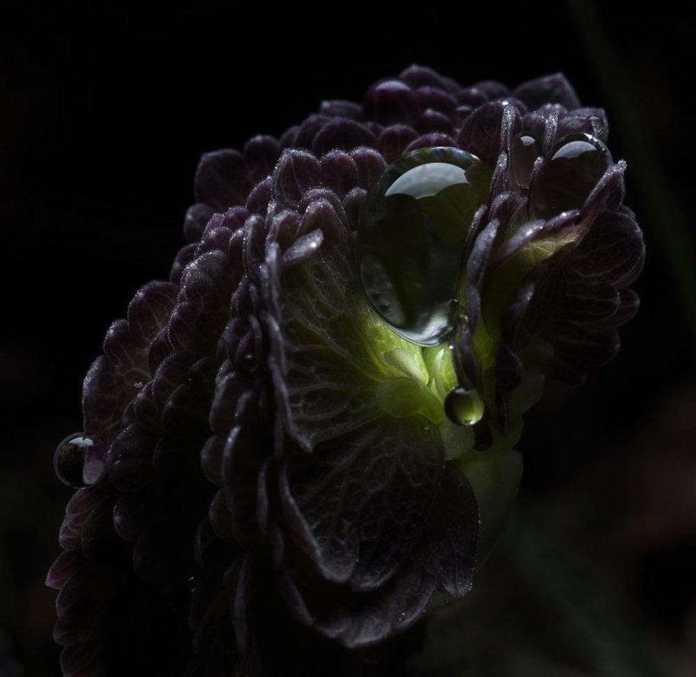 Photograph by Alexander Svetlov