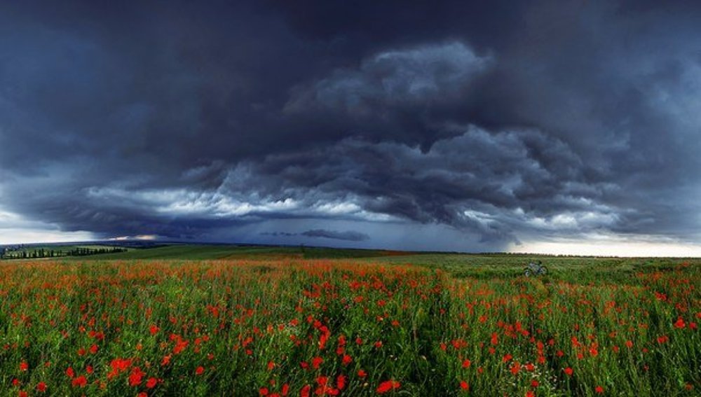 Photograph by Екатерина