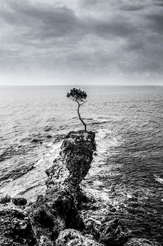 Elizabeth Veruk, Russia