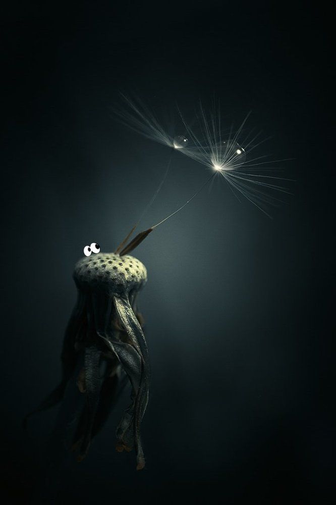 Возвыситься над мыслями