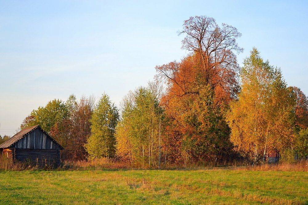 Осенний пейзаж...