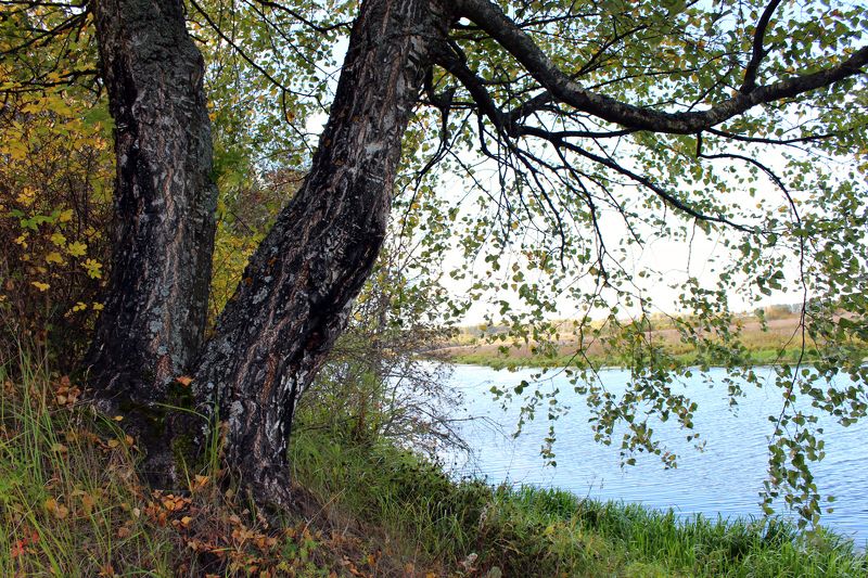 Perevoznikova Lubov, Russia