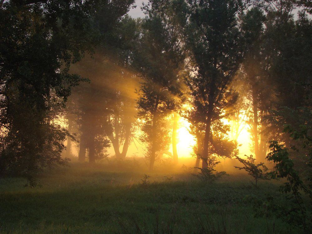 и вновь начинается день