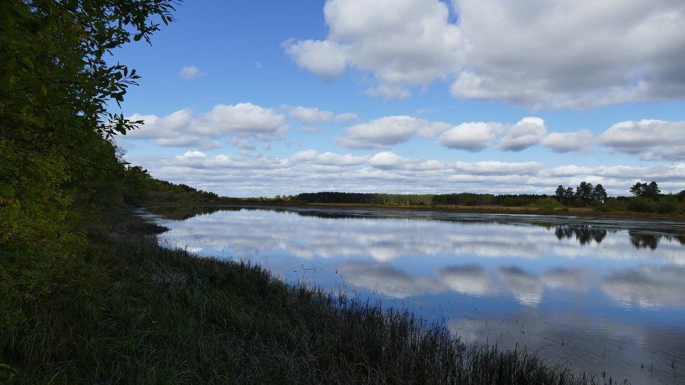 Родная природа