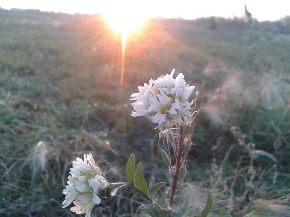 Осень в Дружино
