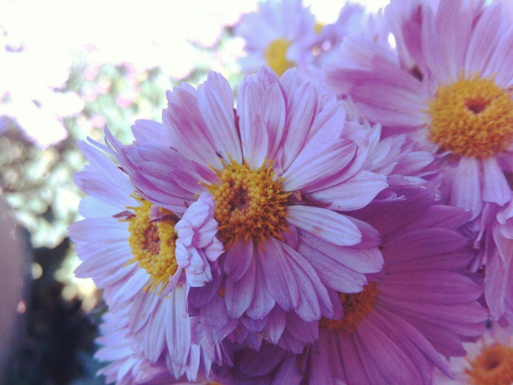 Очарование природы