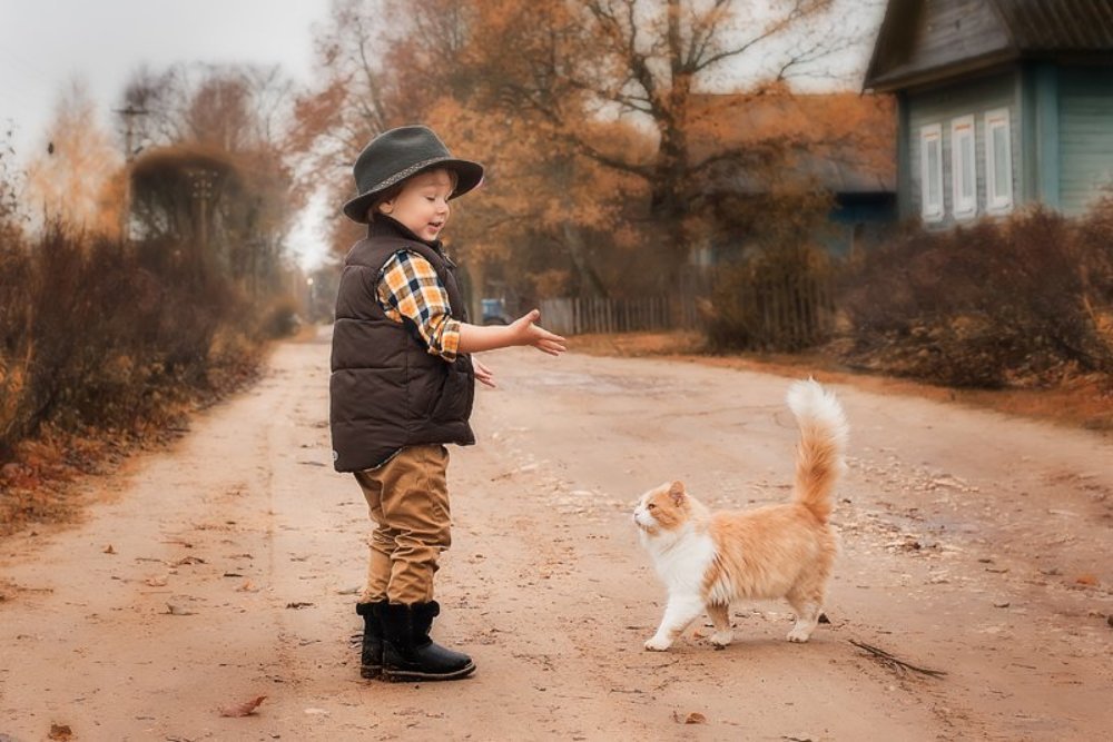 про кота Тихона