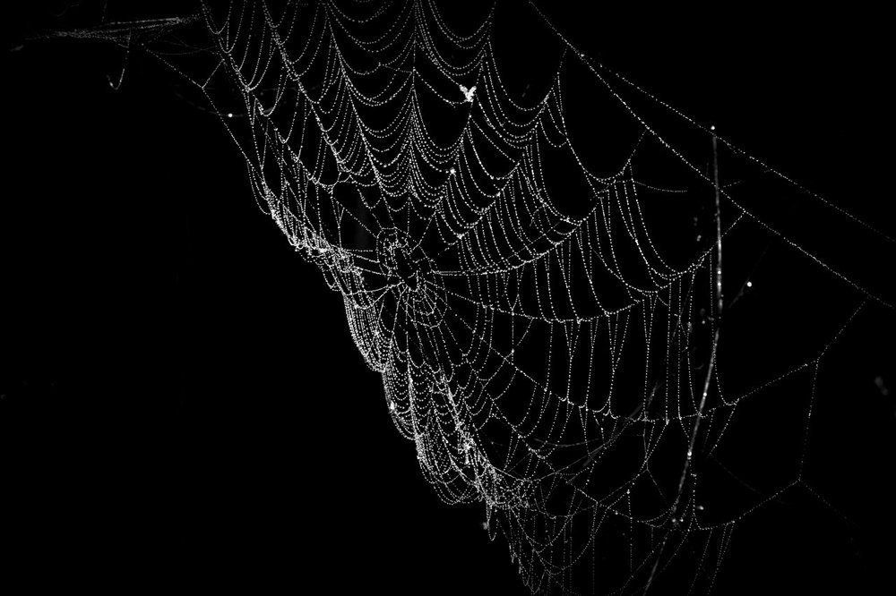 Галактика малых форм..