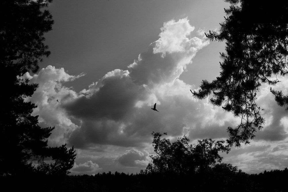 Там так тепло, на дальнем южном берегу....