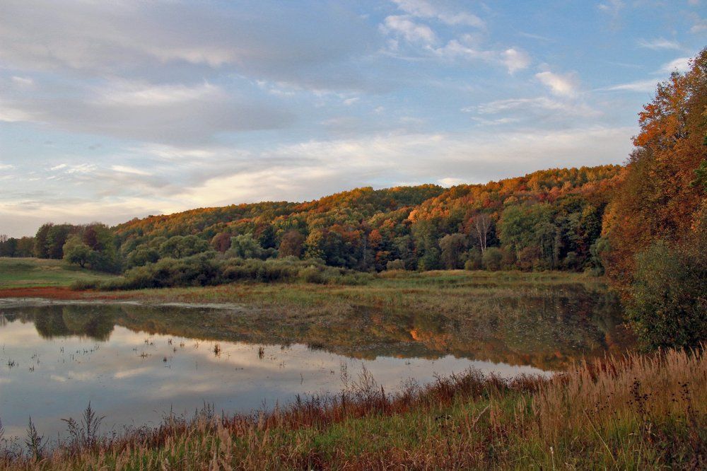 Янтарной осени страницы
