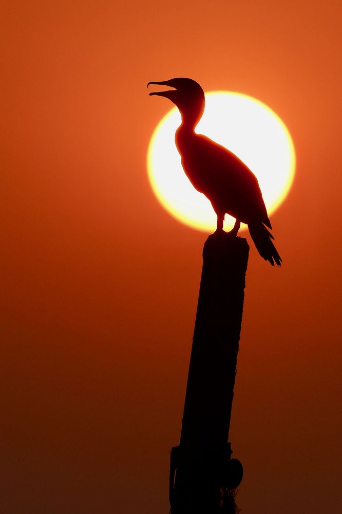 Photograph by Sanjay Risbood