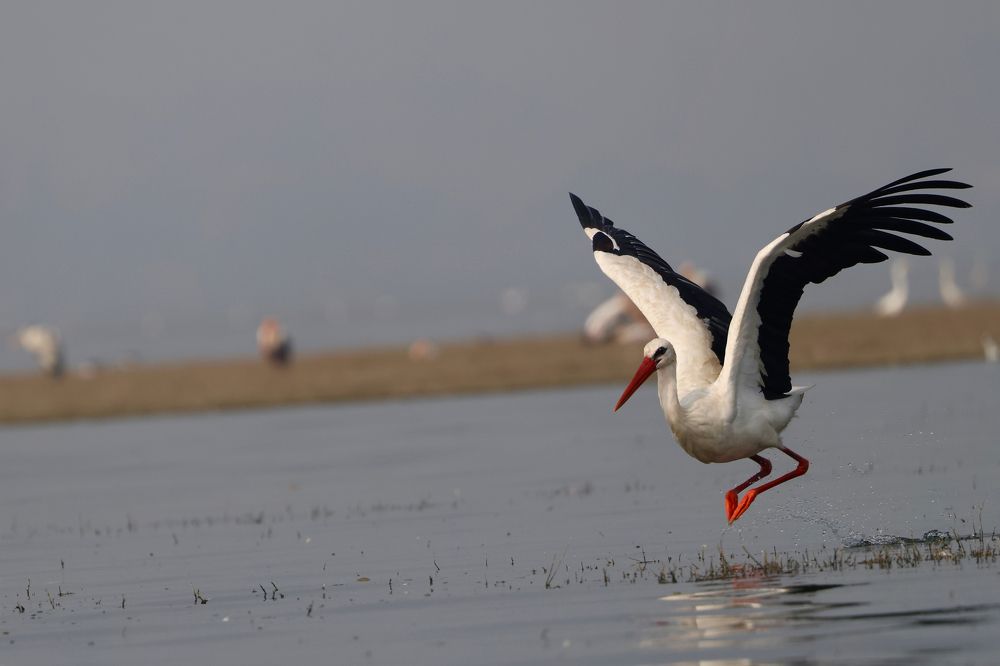 Photograph by Sanjay Risbood