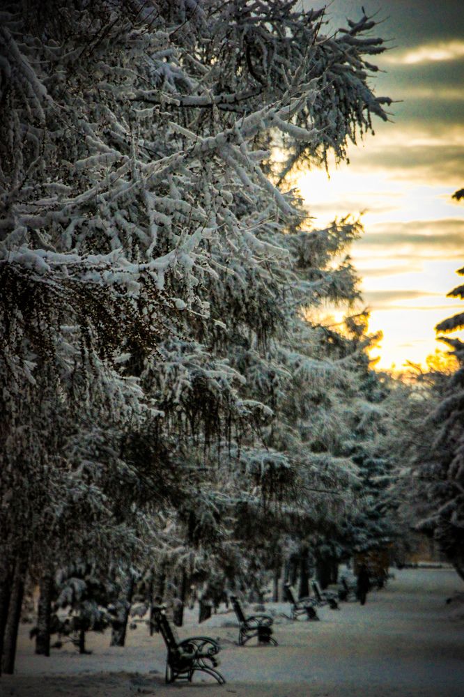 Photograph by Владимир Сушкин