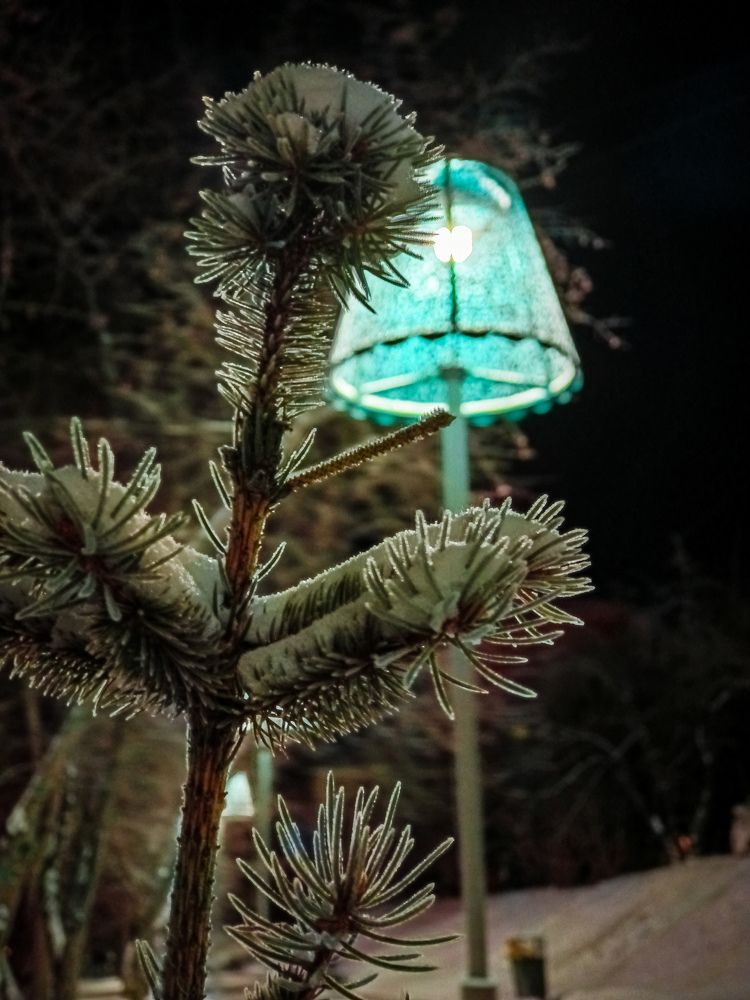 Photograph by Владимир Сушкин