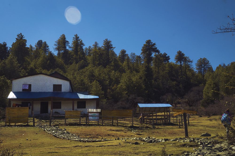 Фотография автора Ashok Acharya