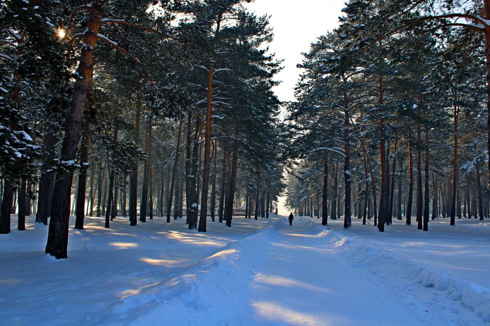 Photograph by Дмитрий Симагин