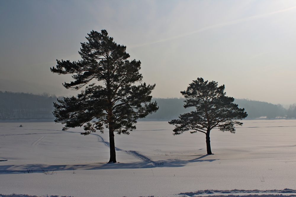 Photograph by Дмитрий Симагин