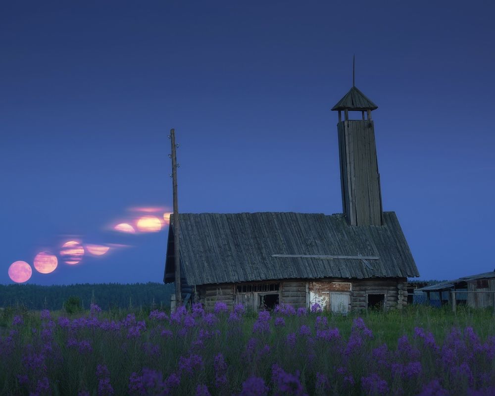 Photograph by Михаил Шаньгин