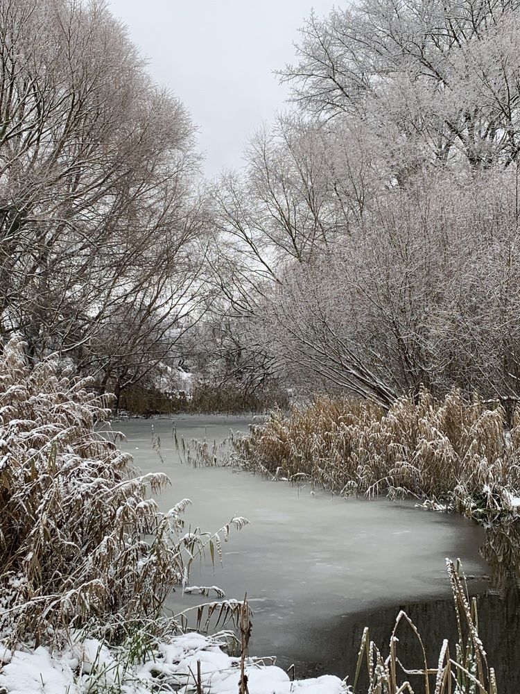 Фотография автора Ирина Шпаковская