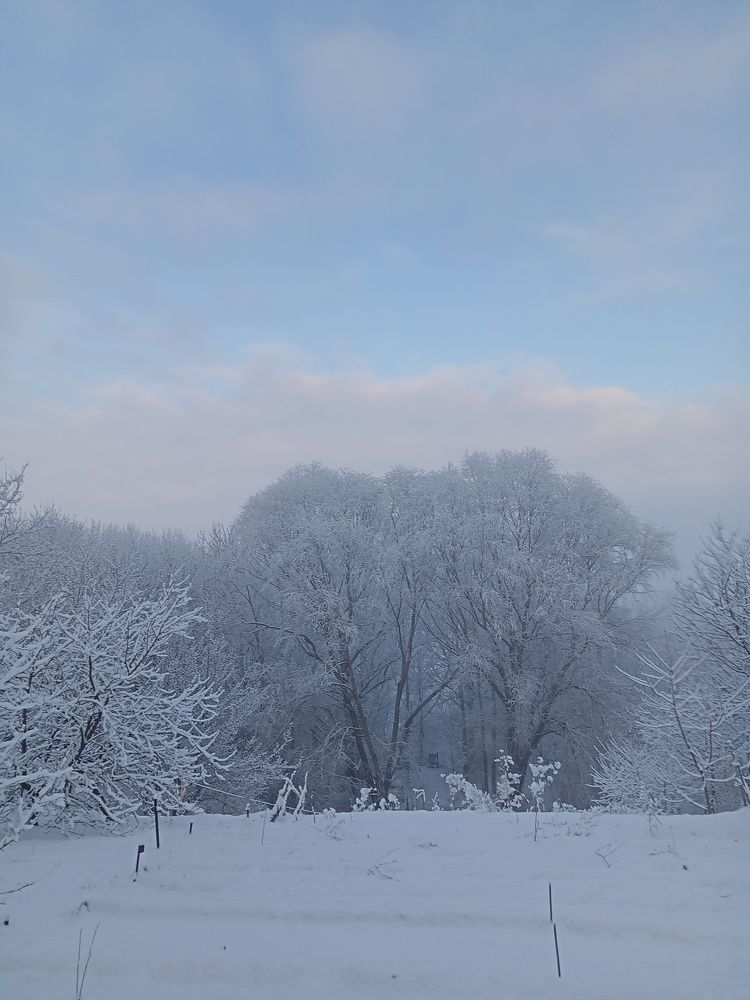 Photo #10150537