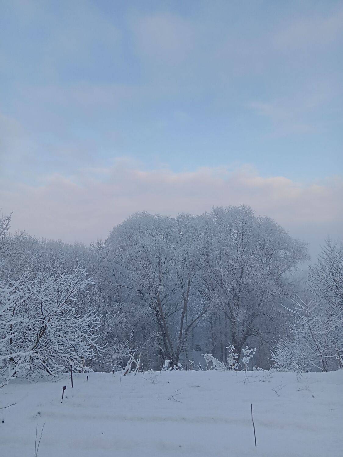 Photo #10150537