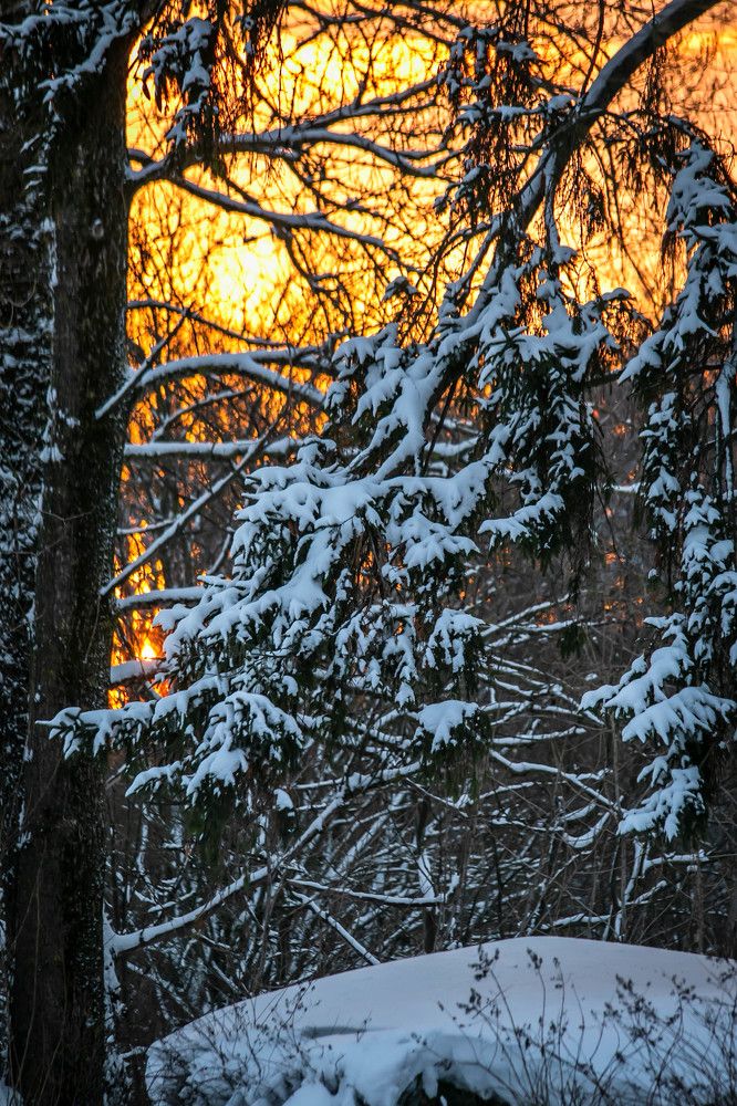 Photograph by Ольга Сафронова