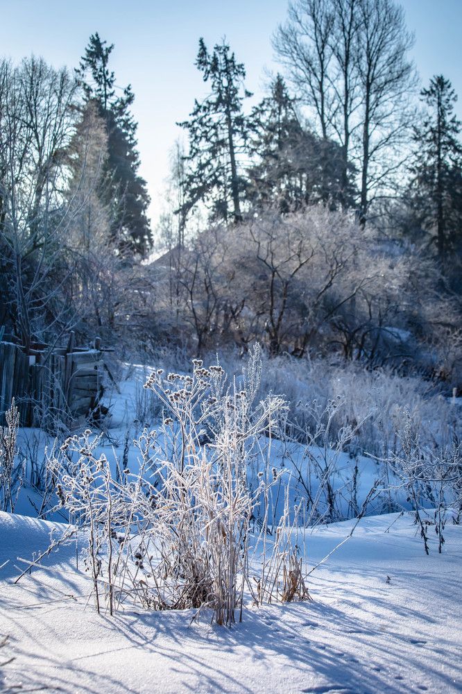Photograph by Ольга Сафронова