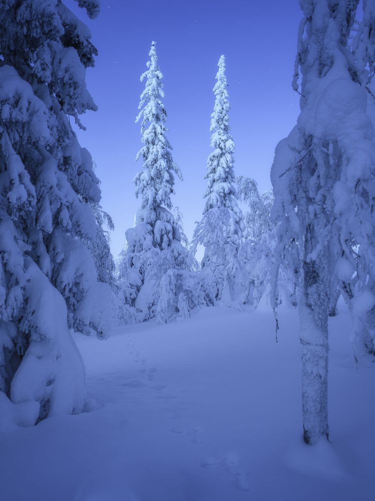 Photograph by Михаил Шаньгин