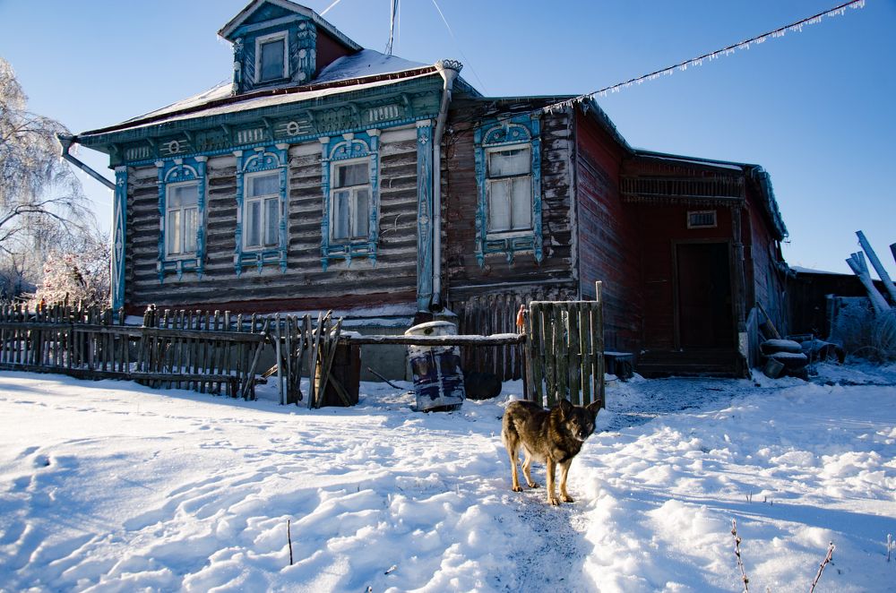 Photograph by Михаил Колосов