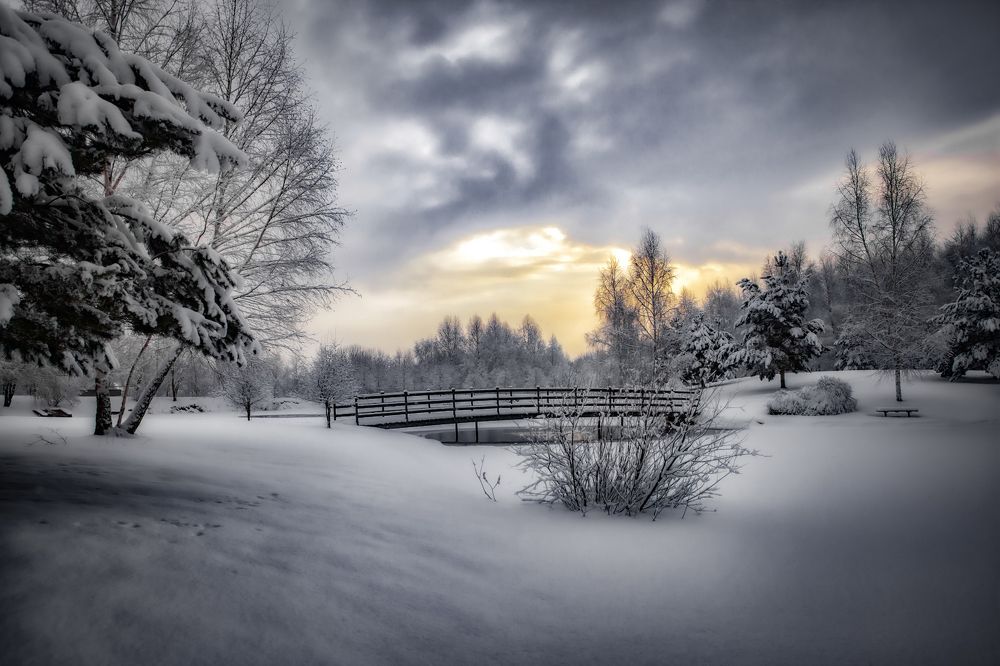 Photograph by andrei zorin