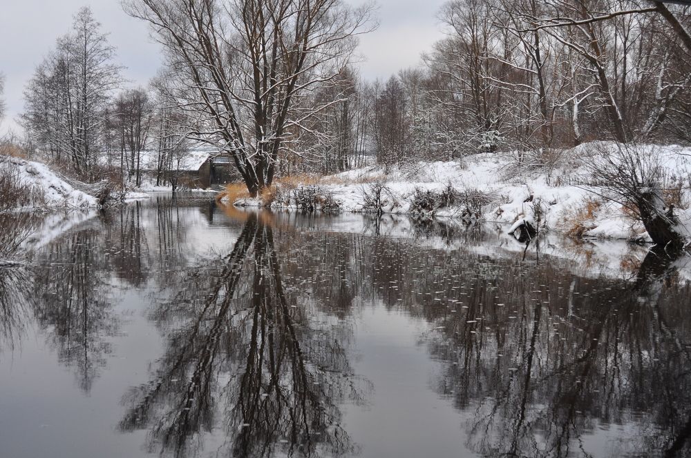 Photograph by Михаил Колосов