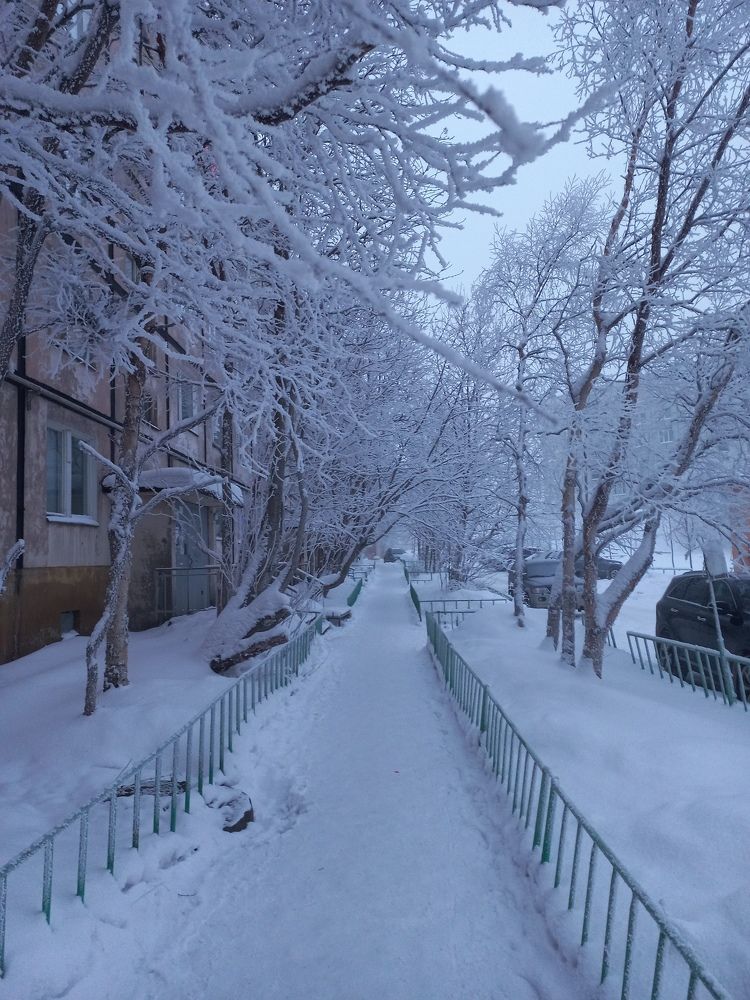 Photograph by Александра Карчевская