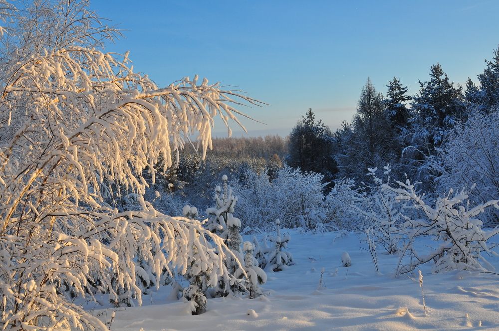 Photograph by Михаил Колосов